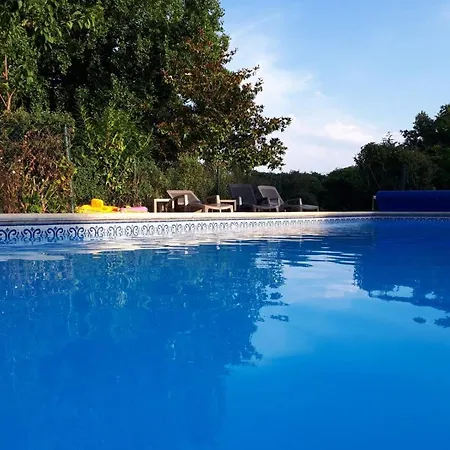 לינה וארוחת בוקר Chez Savary